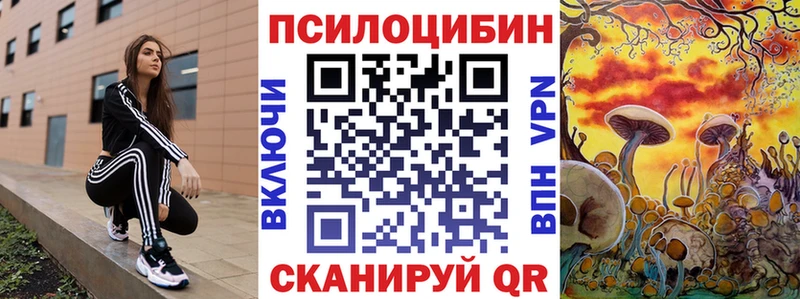 Псилоцибиновые грибы Psilocybine cubensis Шумерля